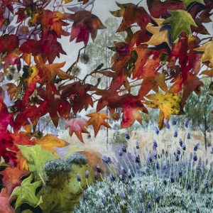 Bush painting of Autumn Leaves and the Lavender Farm to buy online