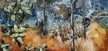 Original Wall Art painting of Ribbon Bark and the Eucalypt Saplings for Sale